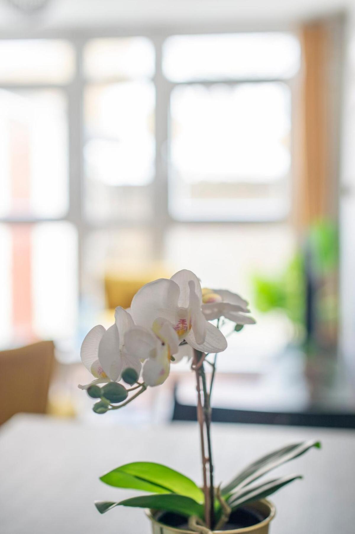 Apartment Lovely 2-bed 20 Mins To